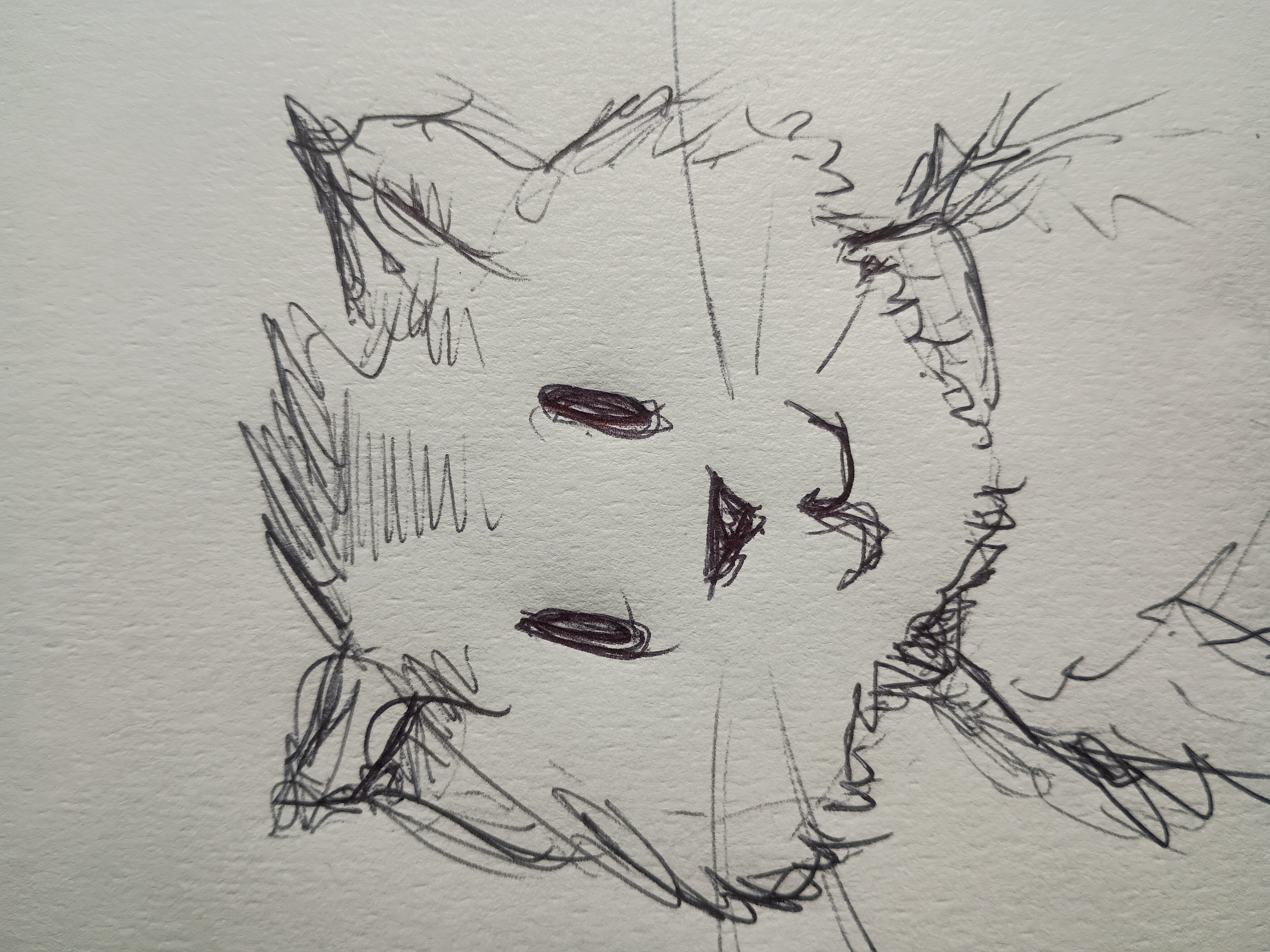 Dr. Thomas Ferguson's sketch