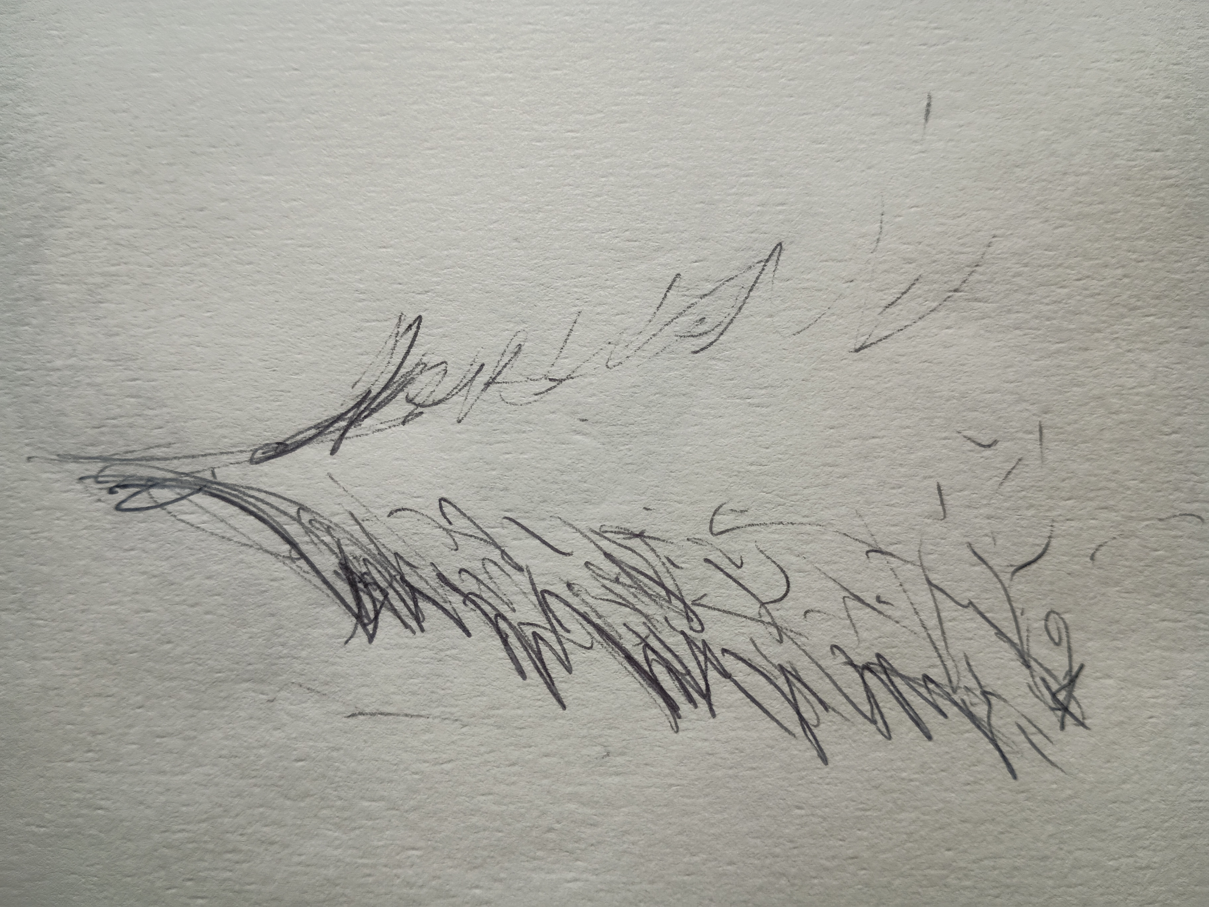 Dr. Thomas Ferguson's sketch
